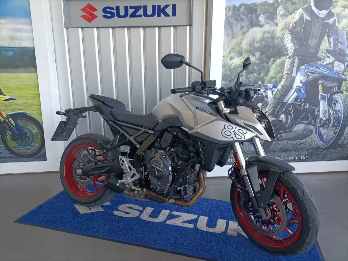 Suzuki GSX-8S (2025 - 26)