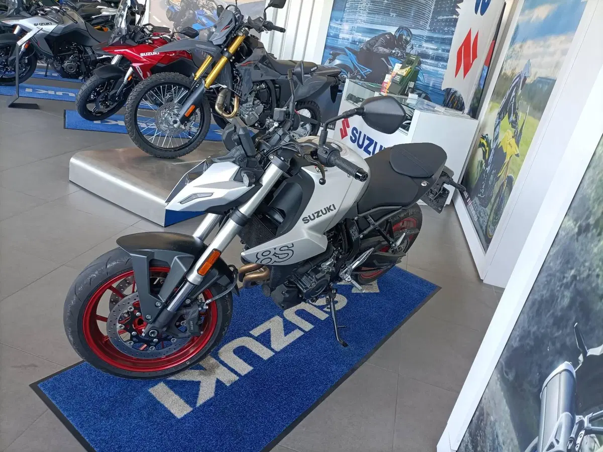Suzuki GSX-8S (2025 - 26) (3)
