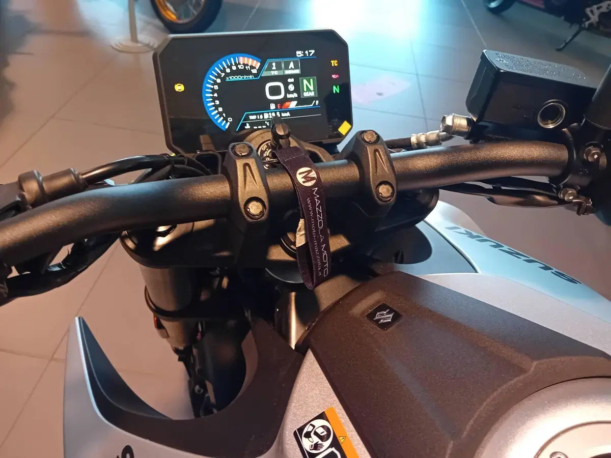 Suzuki GSX-8S (2025 - 26) (5)