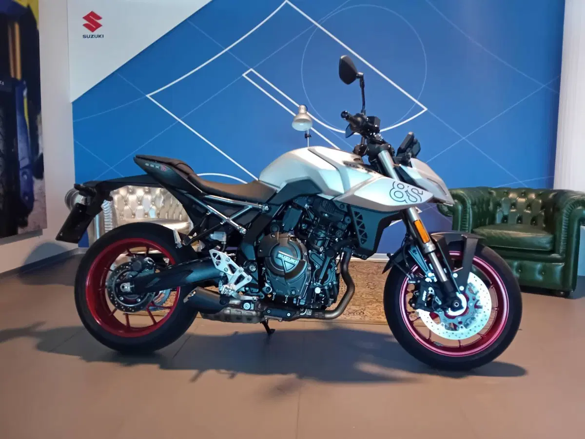 Suzuki GSX-8S (2025 - 26)