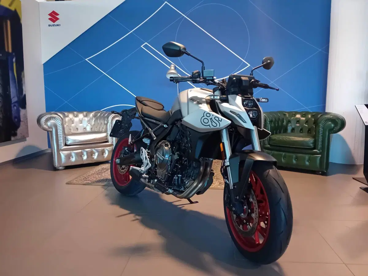 Suzuki GSX-8S (2025 - 26) (2)