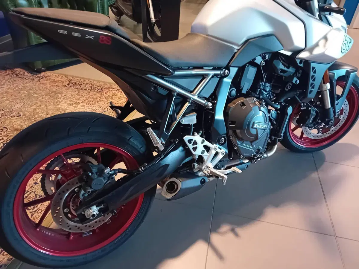 Suzuki GSX-8S (2025 - 26) (3)