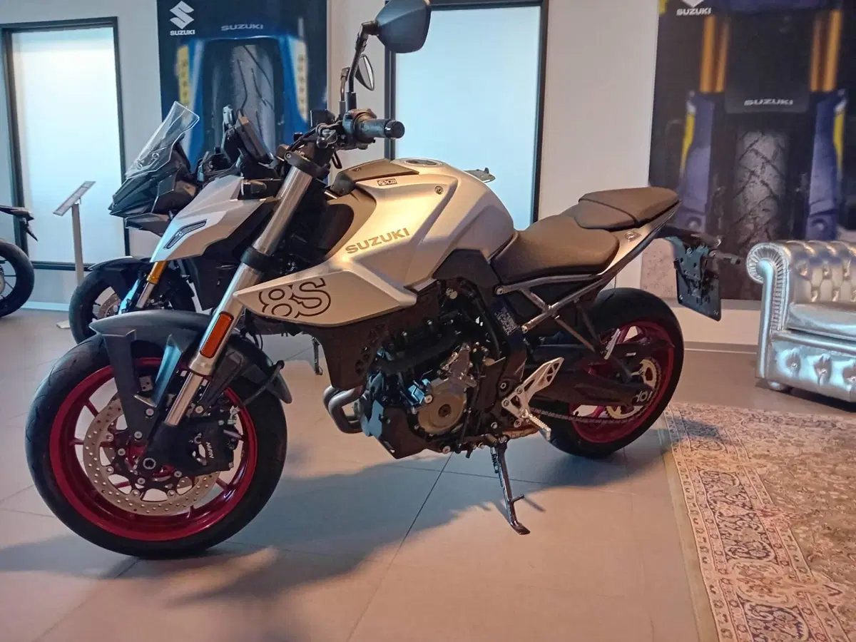 Suzuki GSX-8S (2025 - 26) (4)