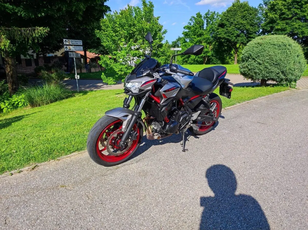 Kawasaki Z 650 (2021 - 24) (6)