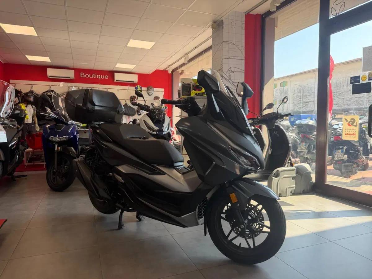 Honda Forza 350 Deluxe (2022 - 24) (3)