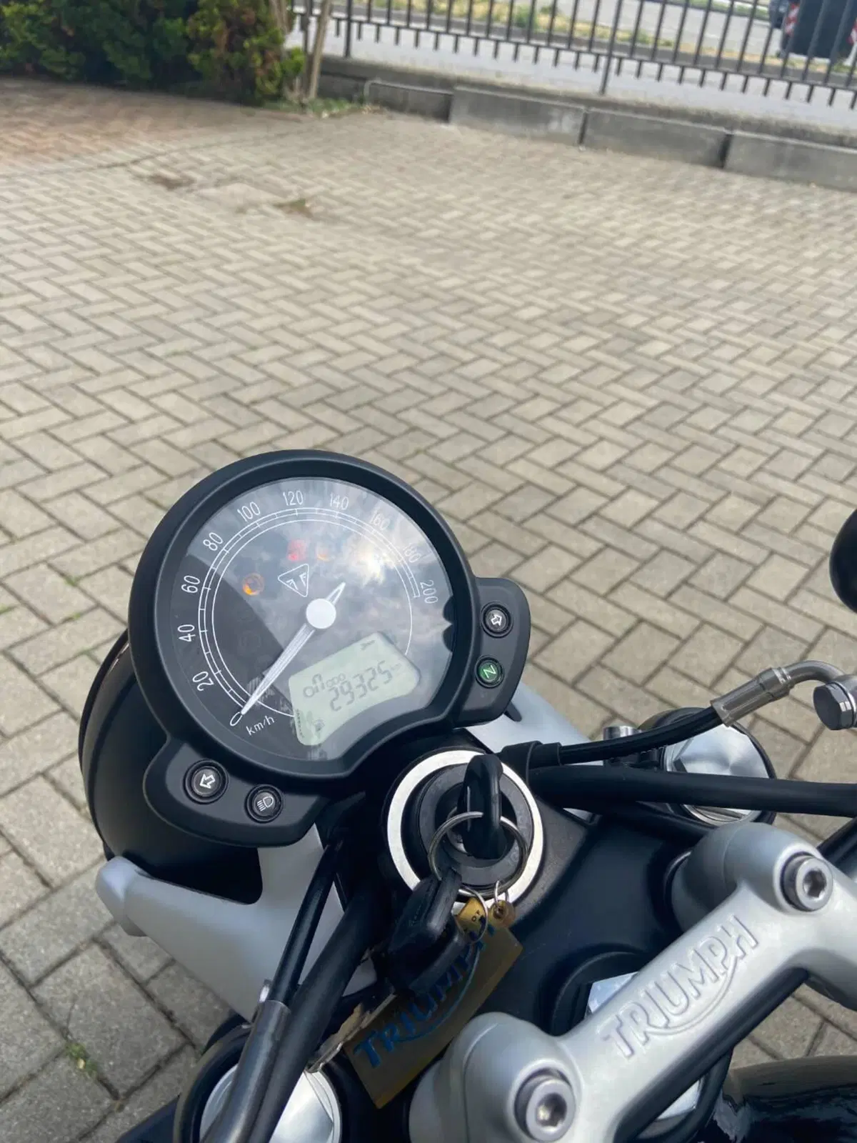 Triumph Street Twin 900 (2017 - 18) (9)