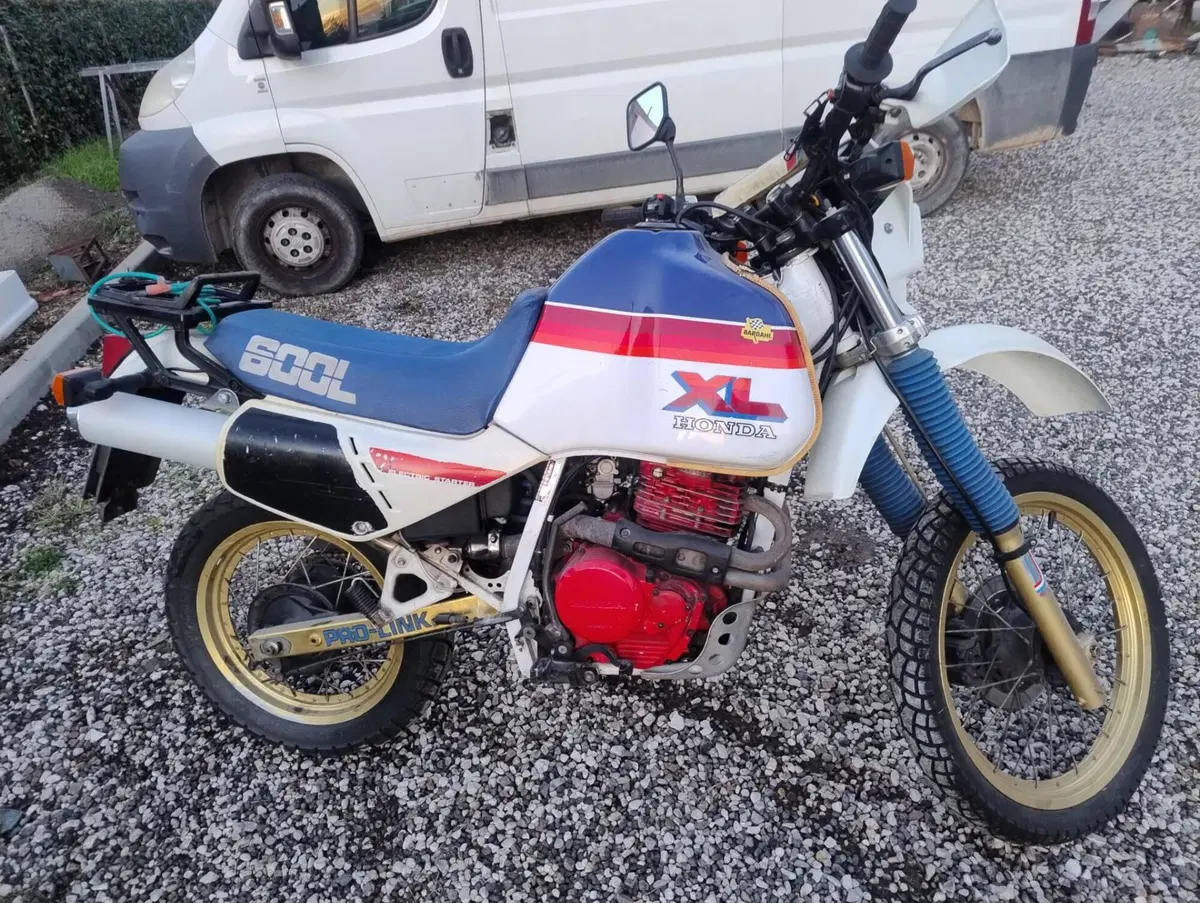 Honda XL 600 LM (1985 - 89) (6)