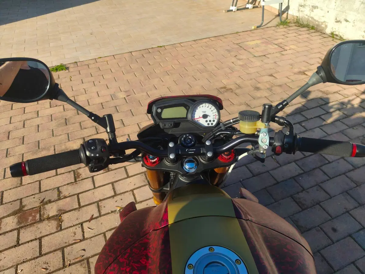 Yamaha FZ8 (2010 - 12) (9)