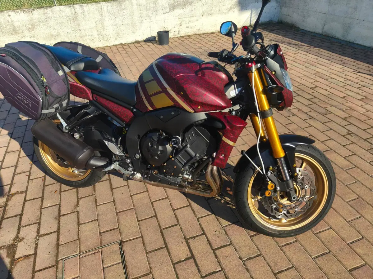 Yamaha FZ8 (2010 - 12) (16)