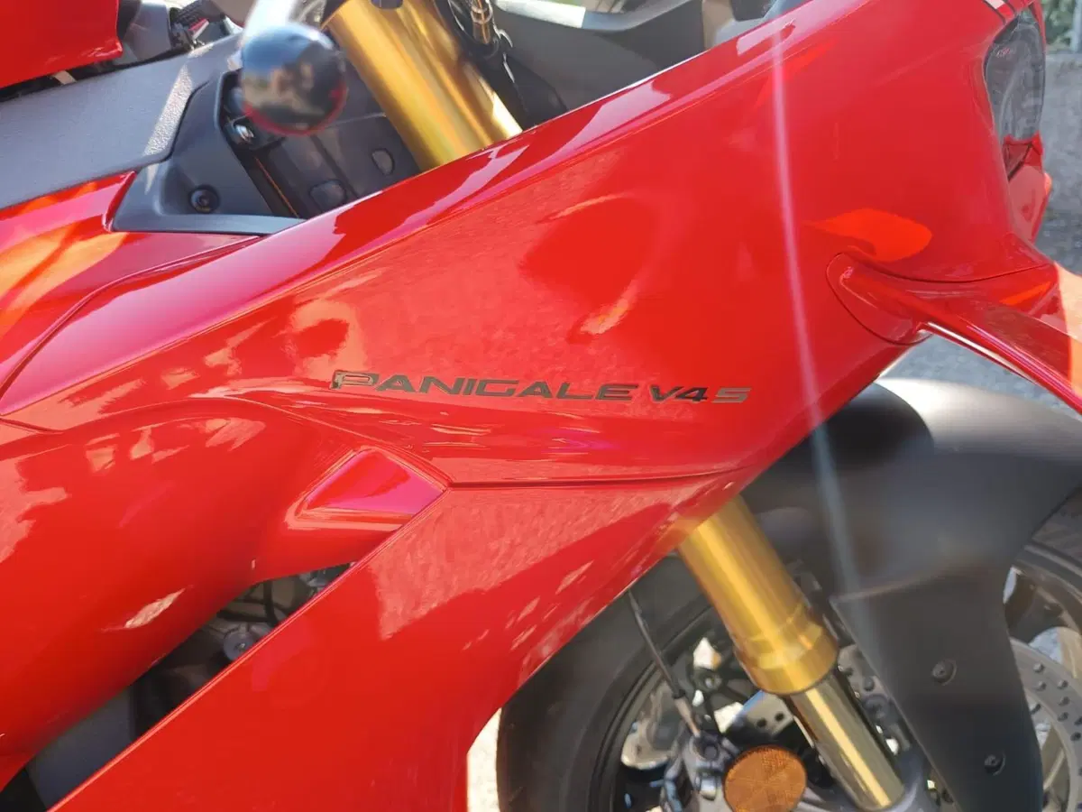 Ducati Panigale V4 S (2025 - 26) (5)