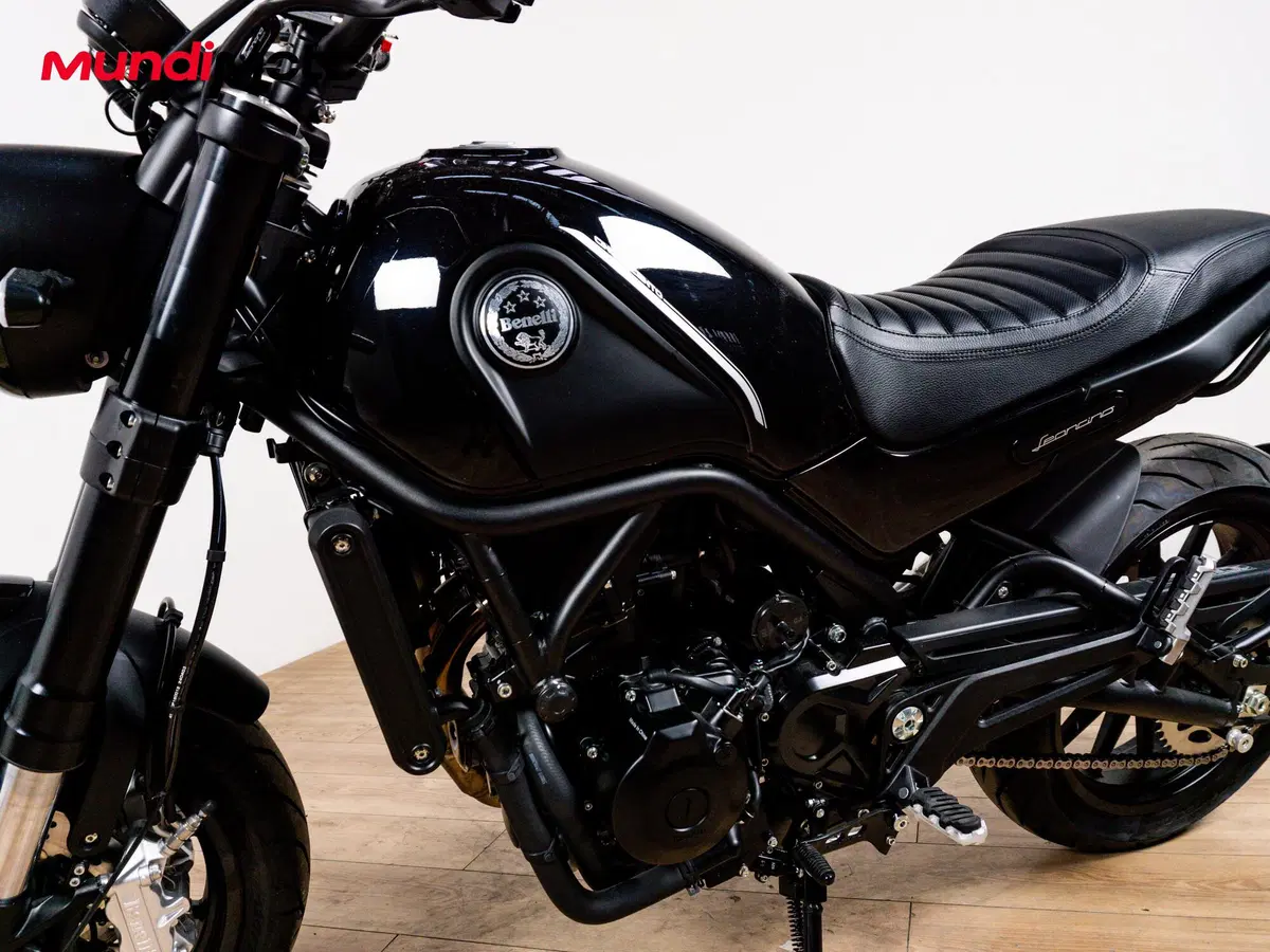 Benelli Leoncino 500 (2021 - 25) (9)