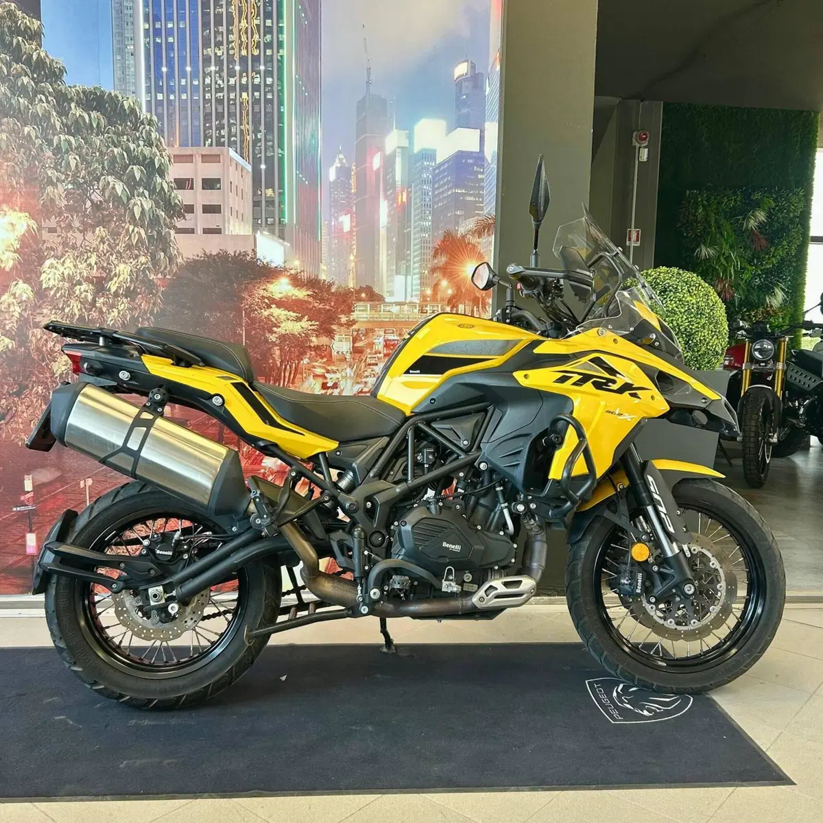 Benelli TRK 502 (2021 - 25)