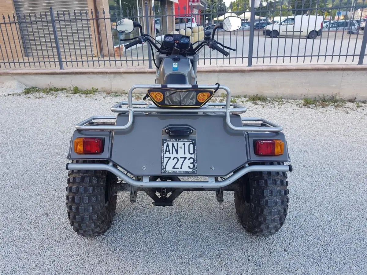 Italjet Moto Rambo 350 (8)