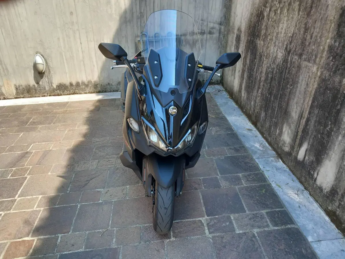 Sym Maxsym TL 508 (2025 - 26) (2)