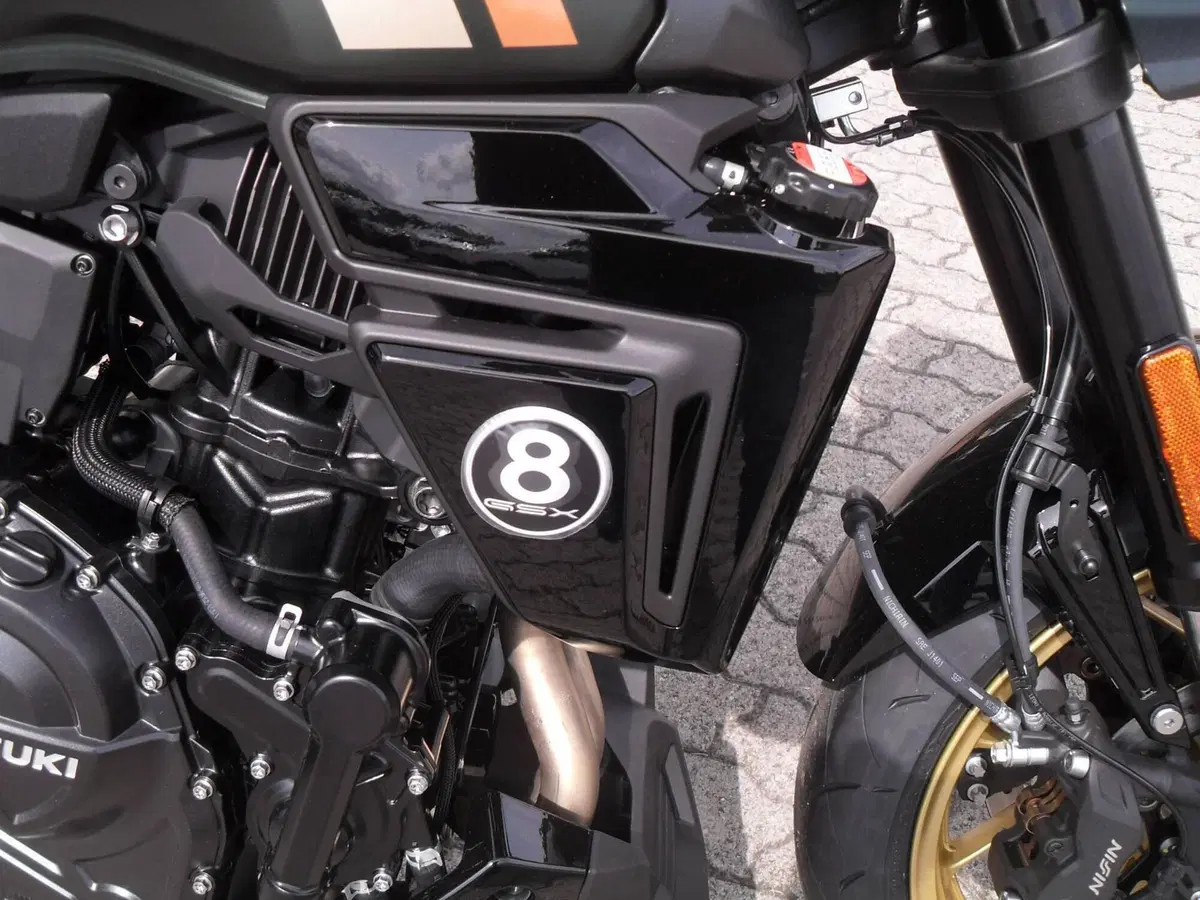 Suzuki GSX-8TT (2025 - 26) (4)