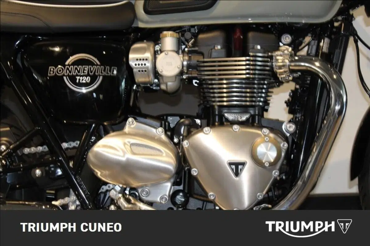 Triumph Bonneville T120 (2026) (4)