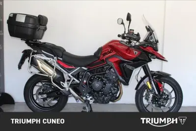 Triumph Tiger 900 GT Pro (2024 - 26) usata