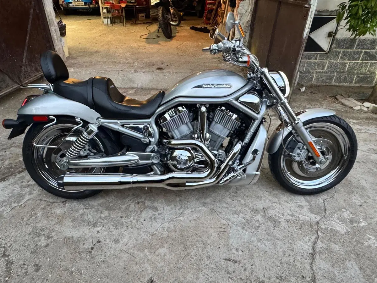 Harley-Davidson V-rod (4)