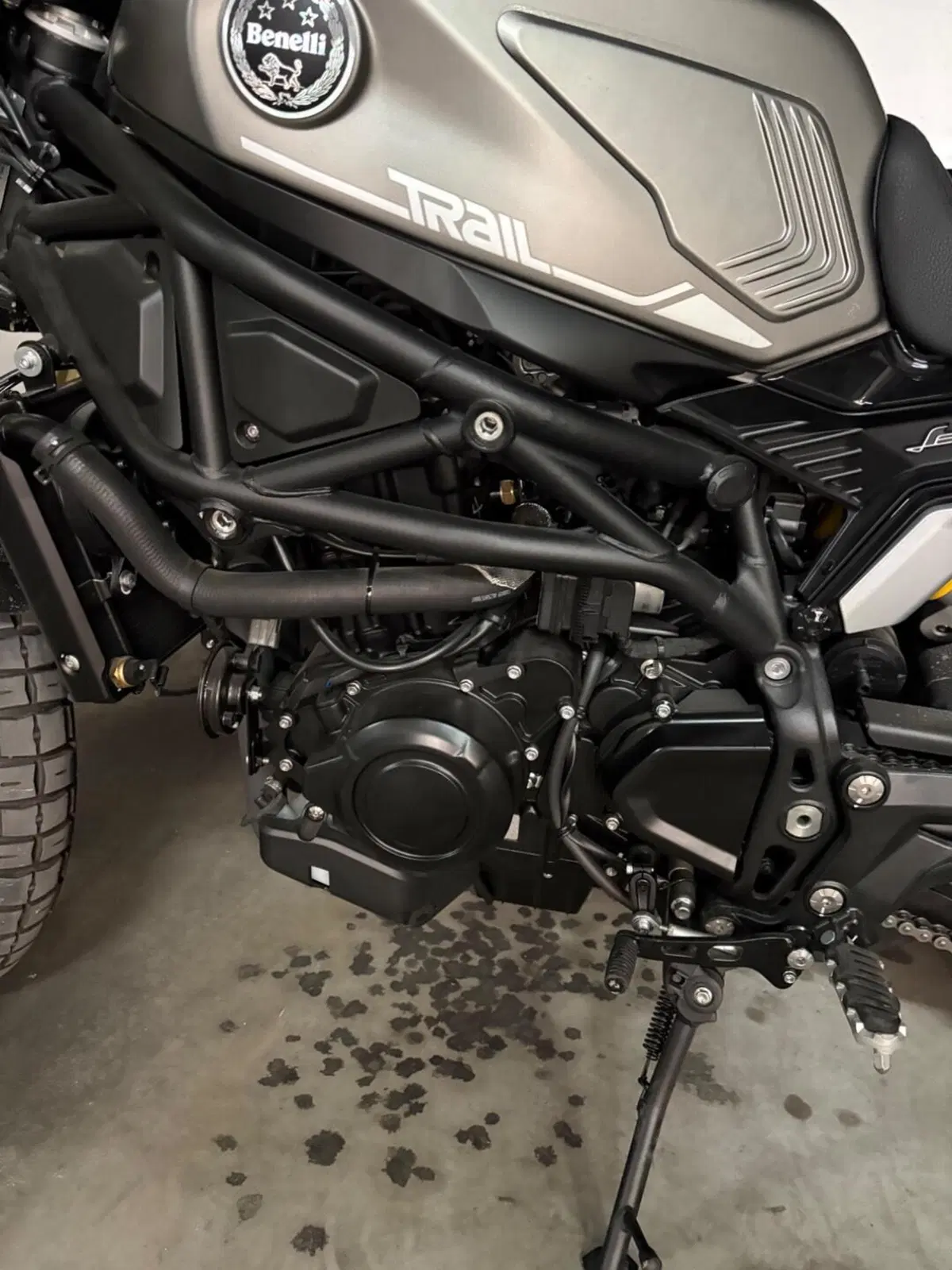 Benelli Leoncino 800 Trail (2022 - 26) (7)