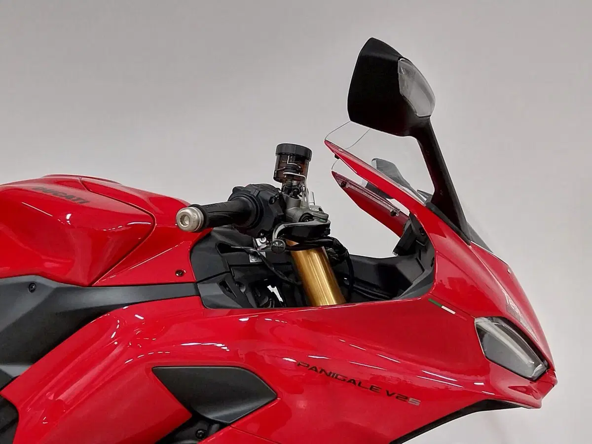 Ducati Panigale V2 S (2025 - 26) (9)