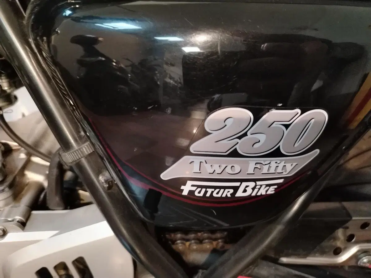 Mash Italia Two Fifty 250 (2014 - 16) (4)