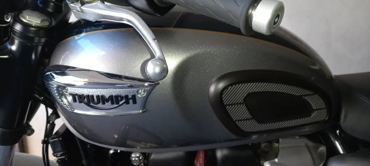 Triumph Bonneville T100 Gold Line Edition (2022) (3)