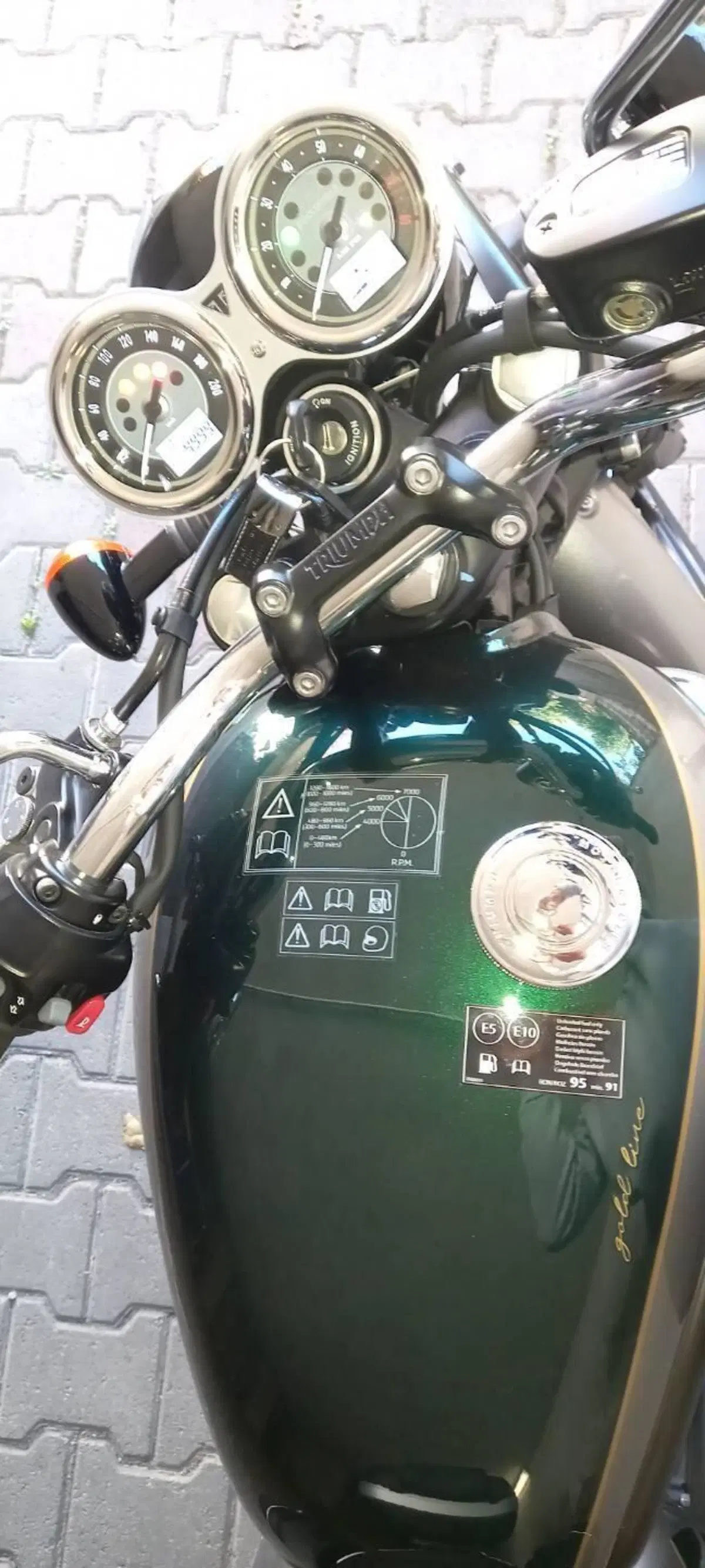 Triumph Bonneville T100 Gold Line Edition (2022) (4)