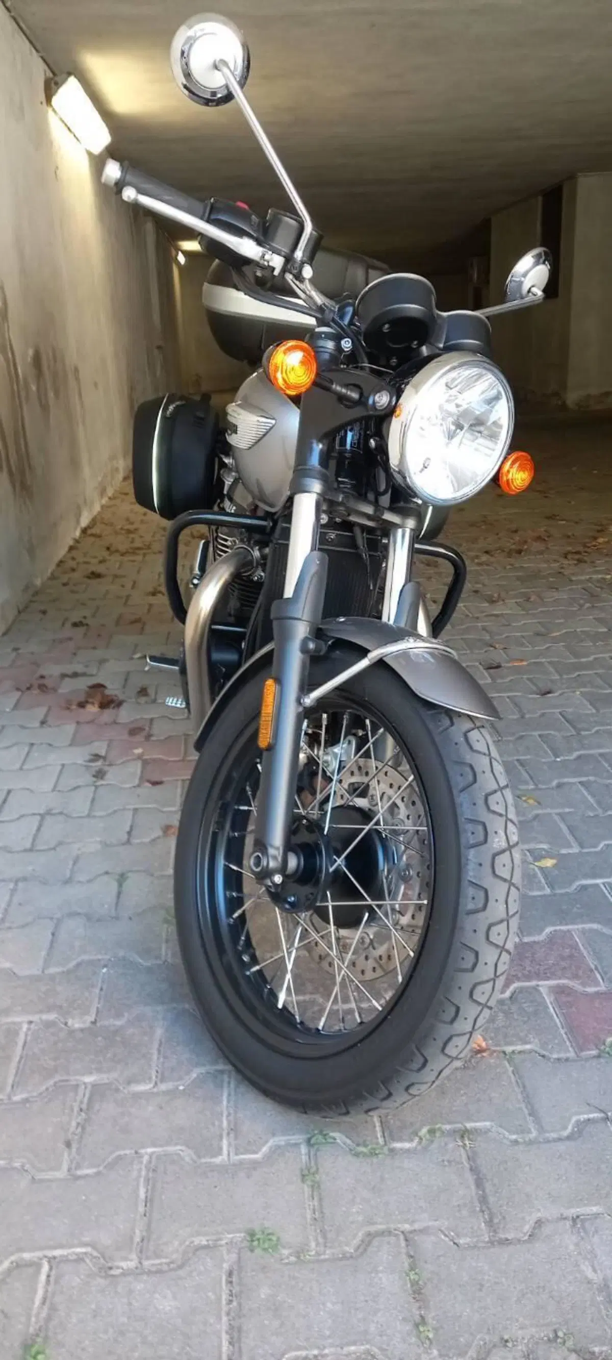 Triumph Bonneville T100 Gold Line Edition (2022) (5)