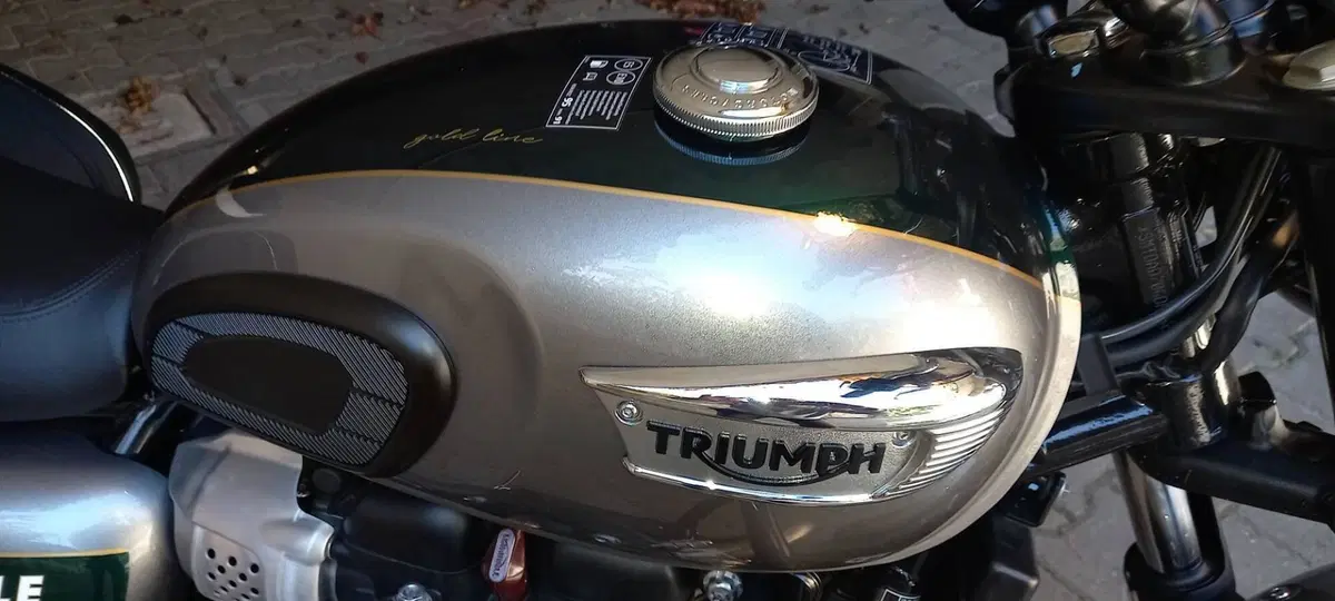 Triumph Bonneville T100 Gold Line Edition (2022) (8)