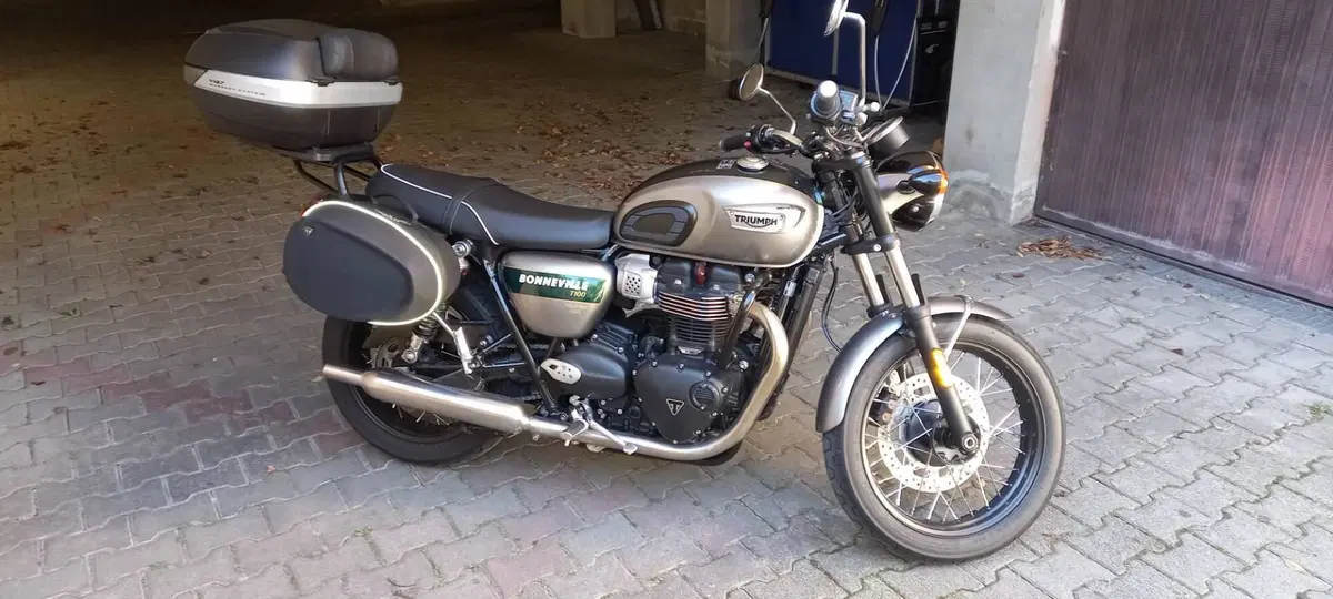 Triumph Bonneville T100 Gold Line Edition (2022) (9)