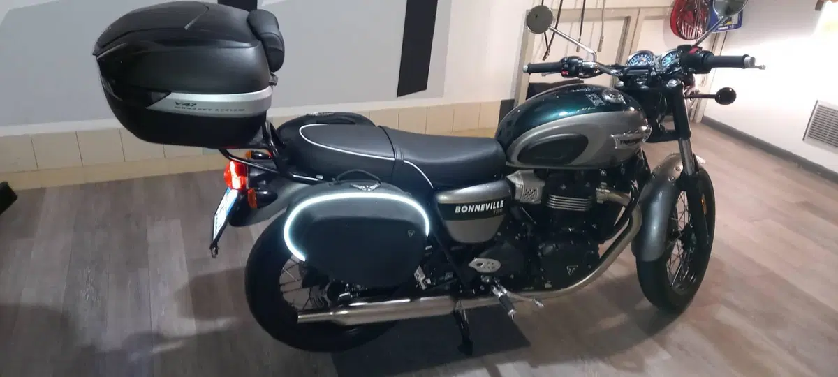 Triumph Bonneville T100 Gold Line Edition (2022) (12)