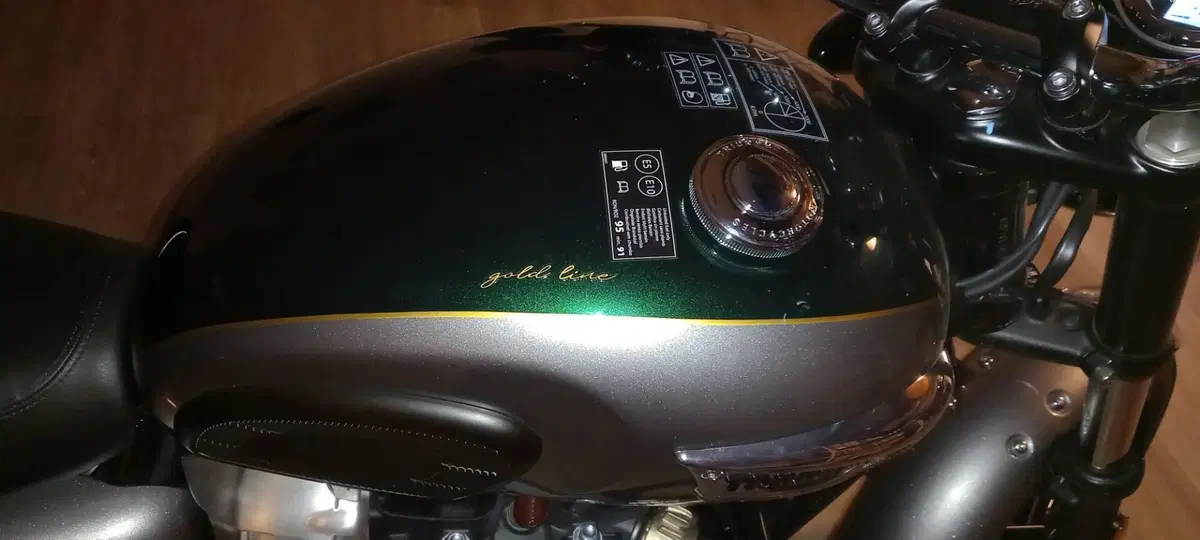 Triumph Bonneville T100 Gold Line Edition (2022) (13)