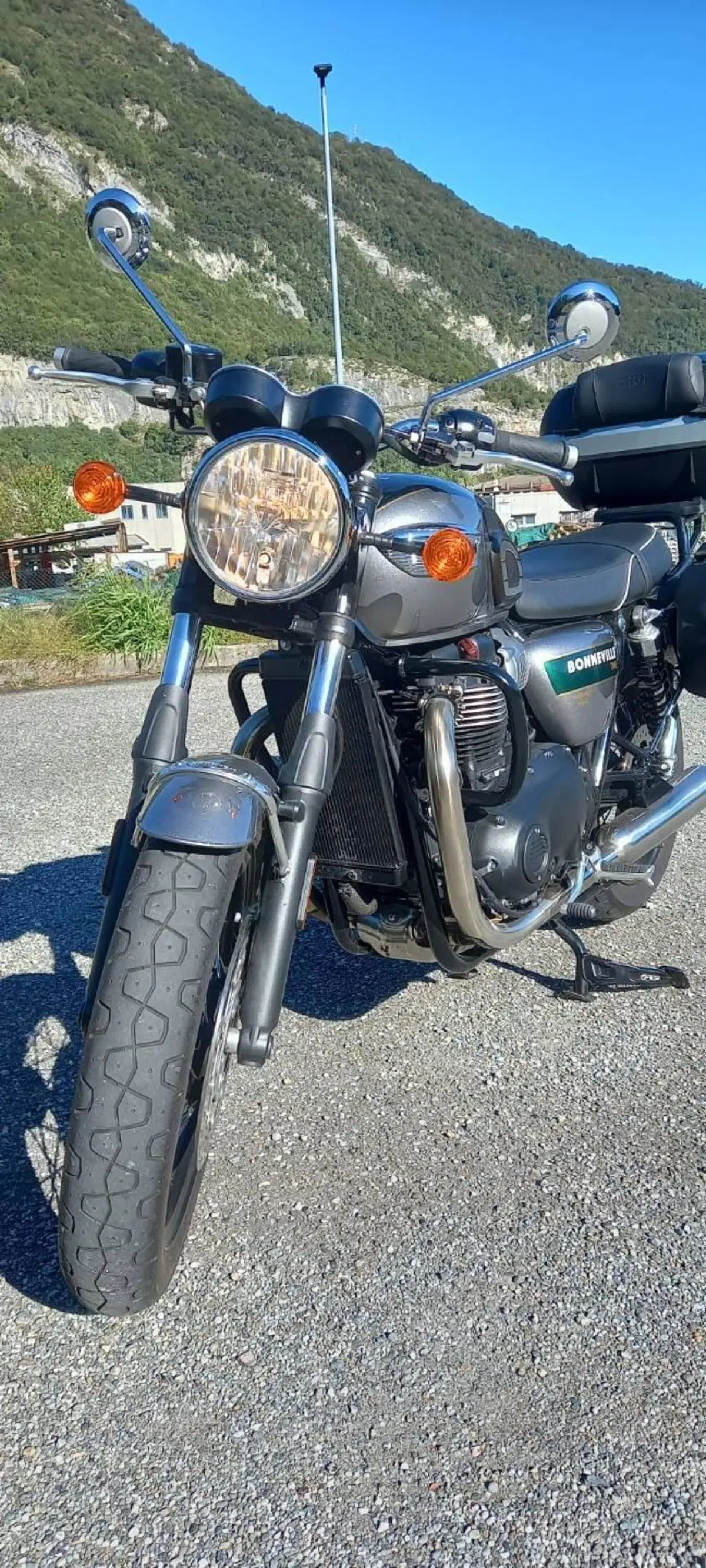 Triumph Bonneville T100 Gold Line Edition (2022) (14)