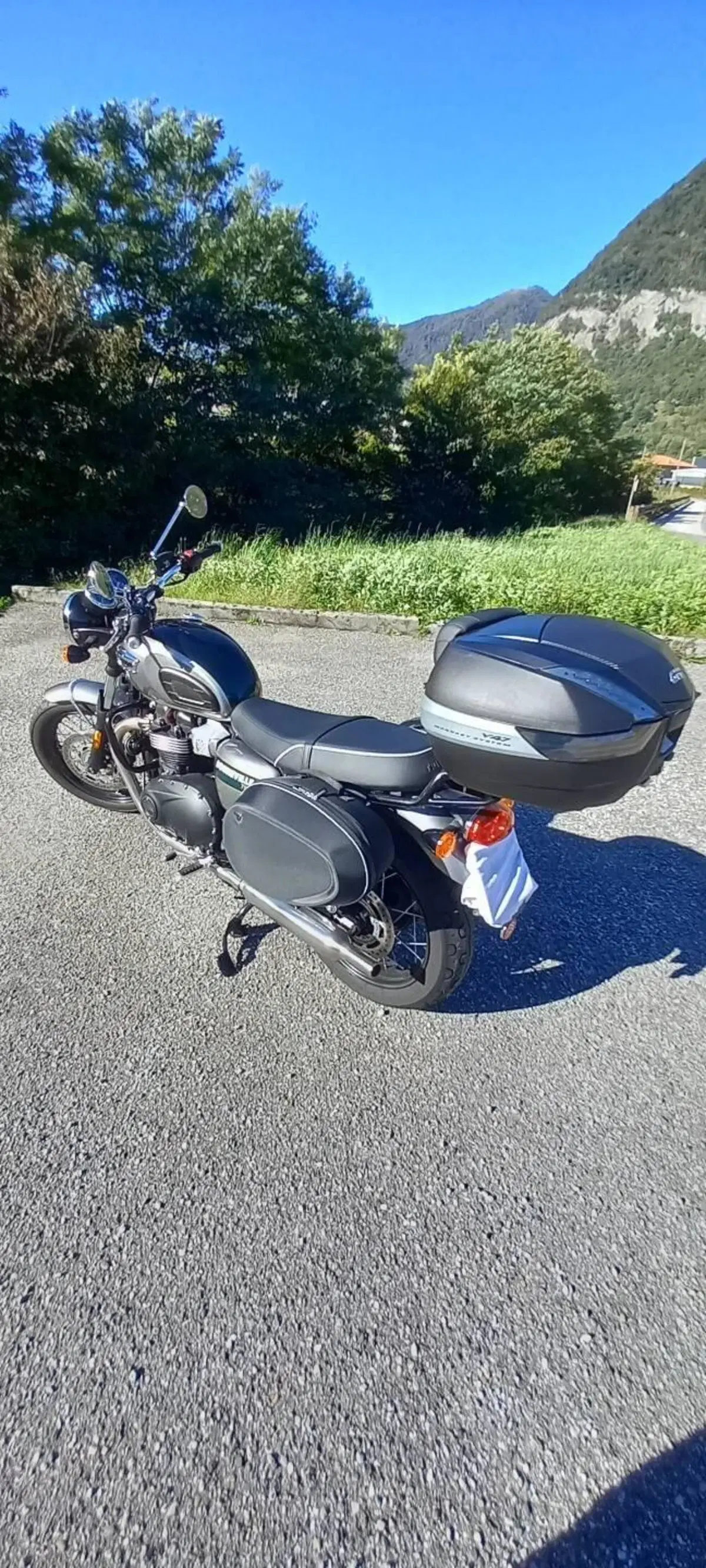 Triumph Bonneville T100 Gold Line Edition (2022) (15)