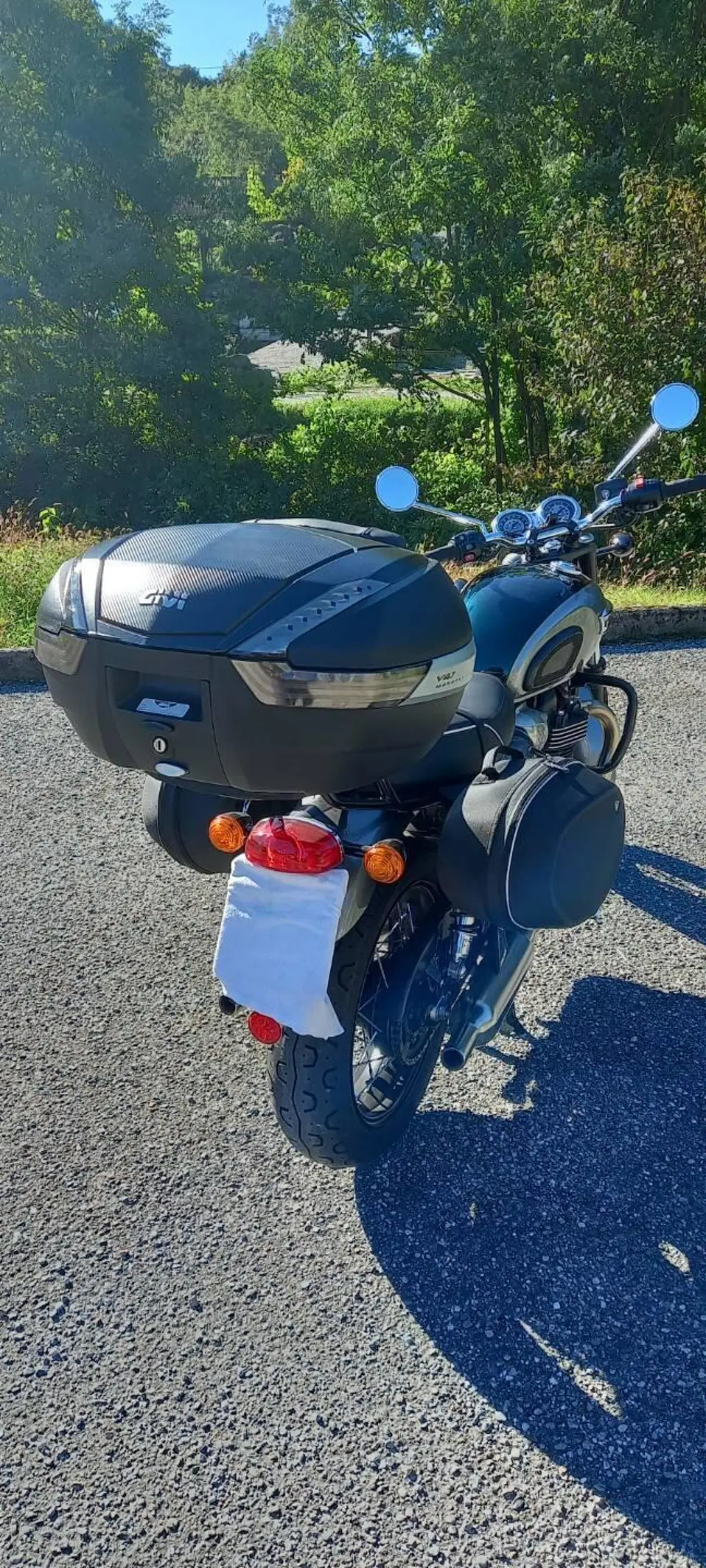 Triumph Bonneville T100 Gold Line Edition (2022) (18)