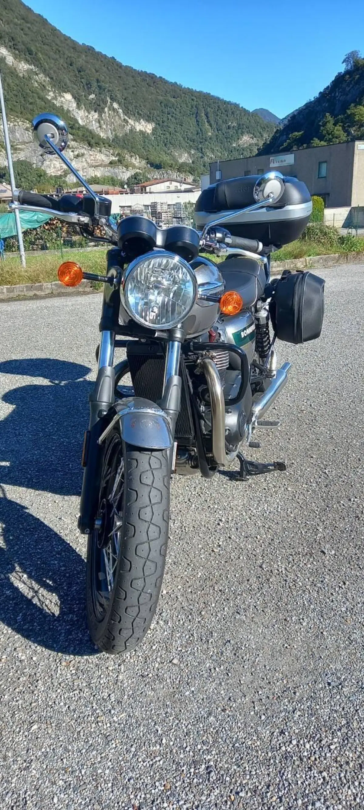 Triumph Bonneville T100 Gold Line Edition (2022) (19)