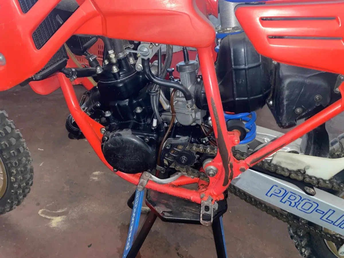 Honda CR 250 (3)