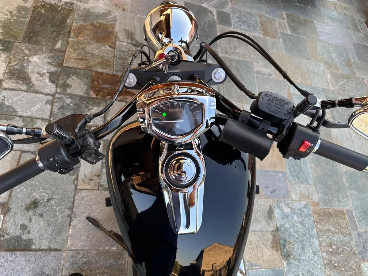 Yamaha XVS 1300 Custom (2014 - 16) (4)
