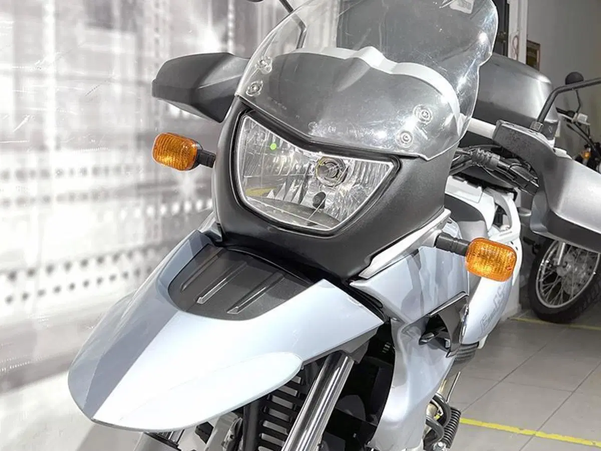 Bmw F 650 GS (2004 - 07) (5)