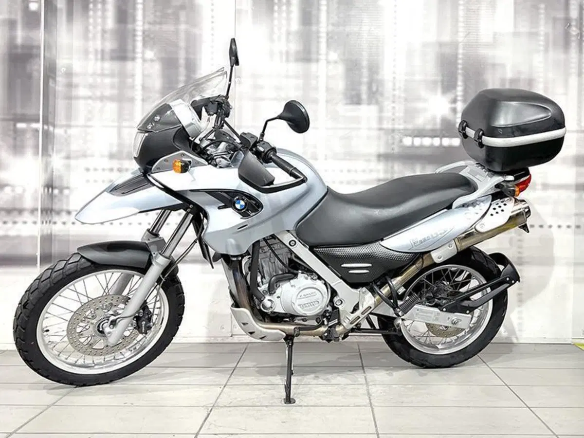 Bmw F 650 GS (2004 - 07) (7)