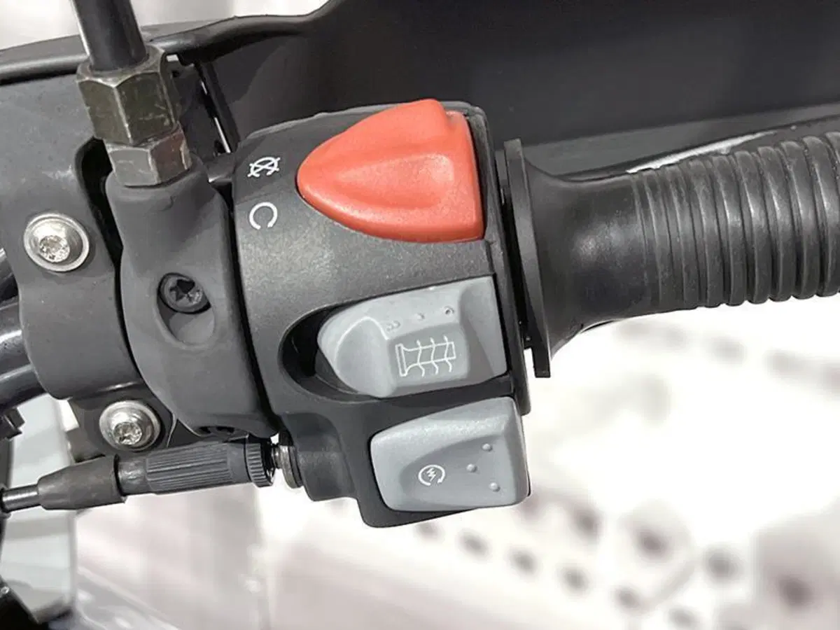 Bmw F 650 GS (2004 - 07) (9)