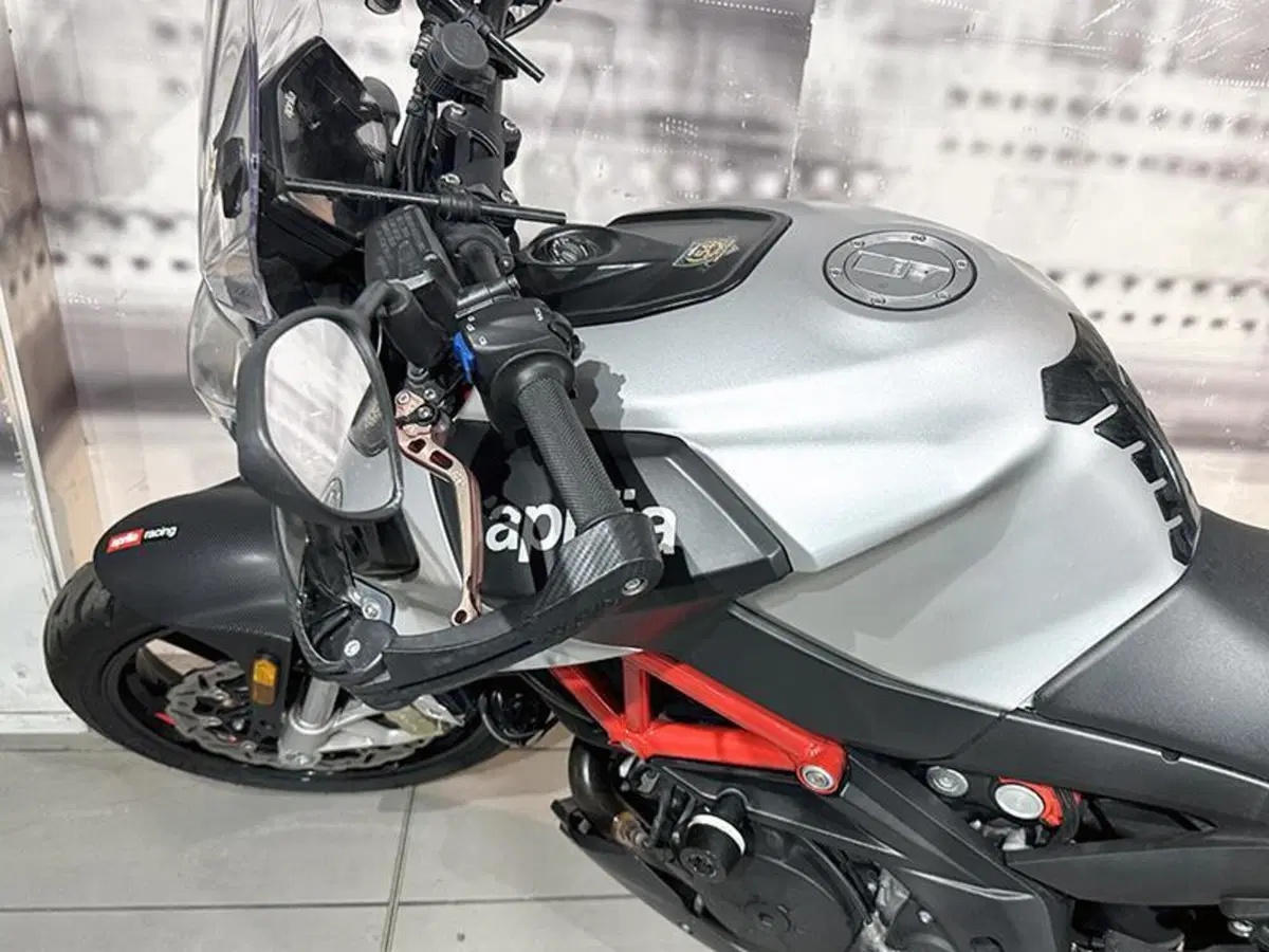 Aprilia Shiver 900 ABS (2017 - 18) (7)