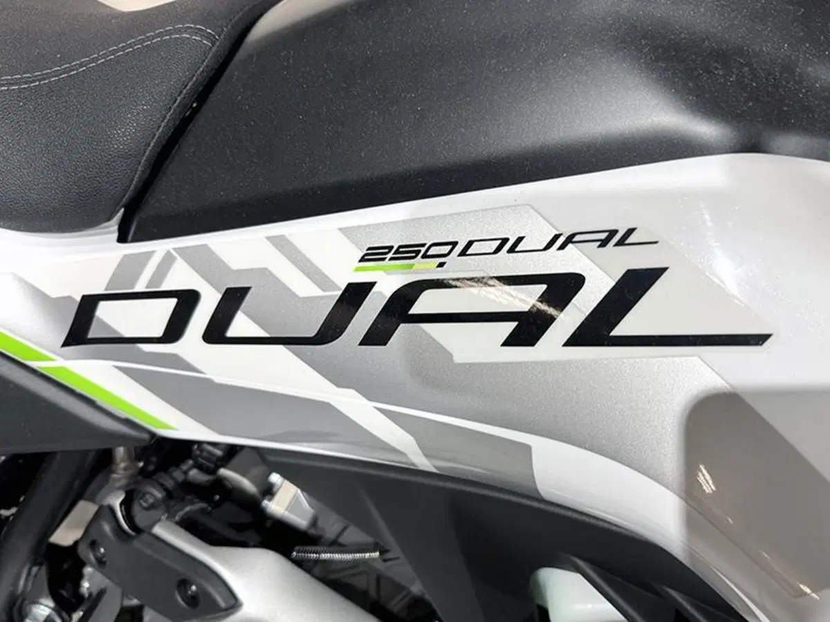 CFMOTO CFLite 250 Dual (2026) (6)