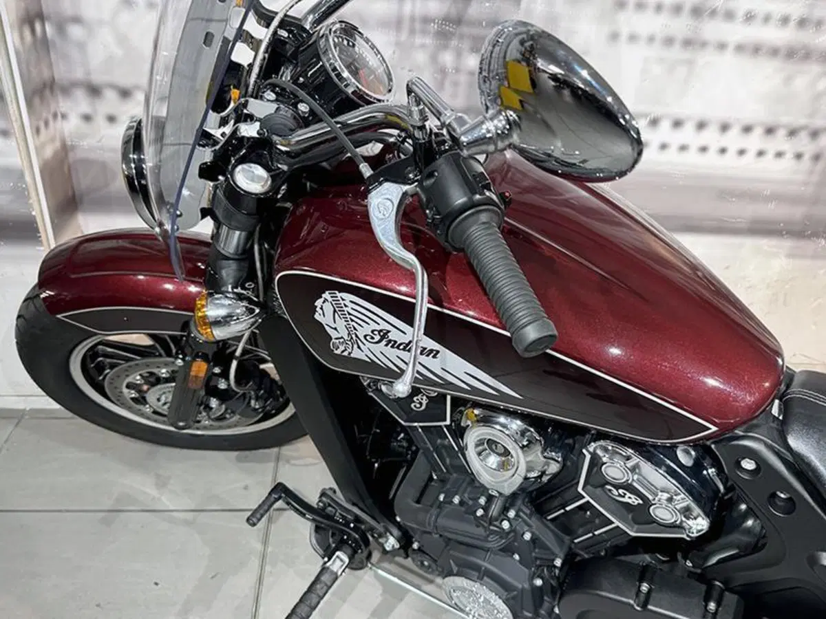 Indian Scout 1133 (2021 - 25) (6)