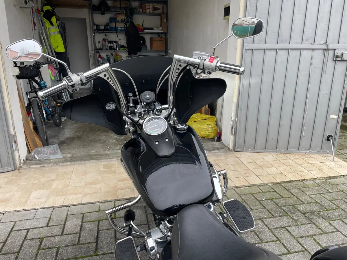 Honda VT 750 Shadow Spirit (6)