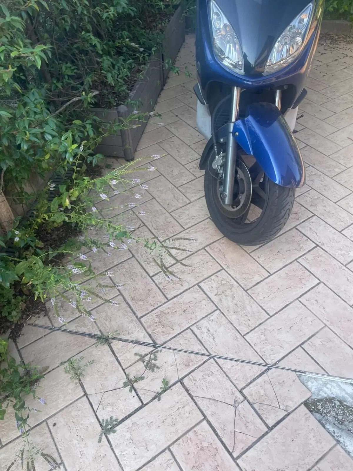 Yamaha X-Max 250 (2007 - 09) (3)