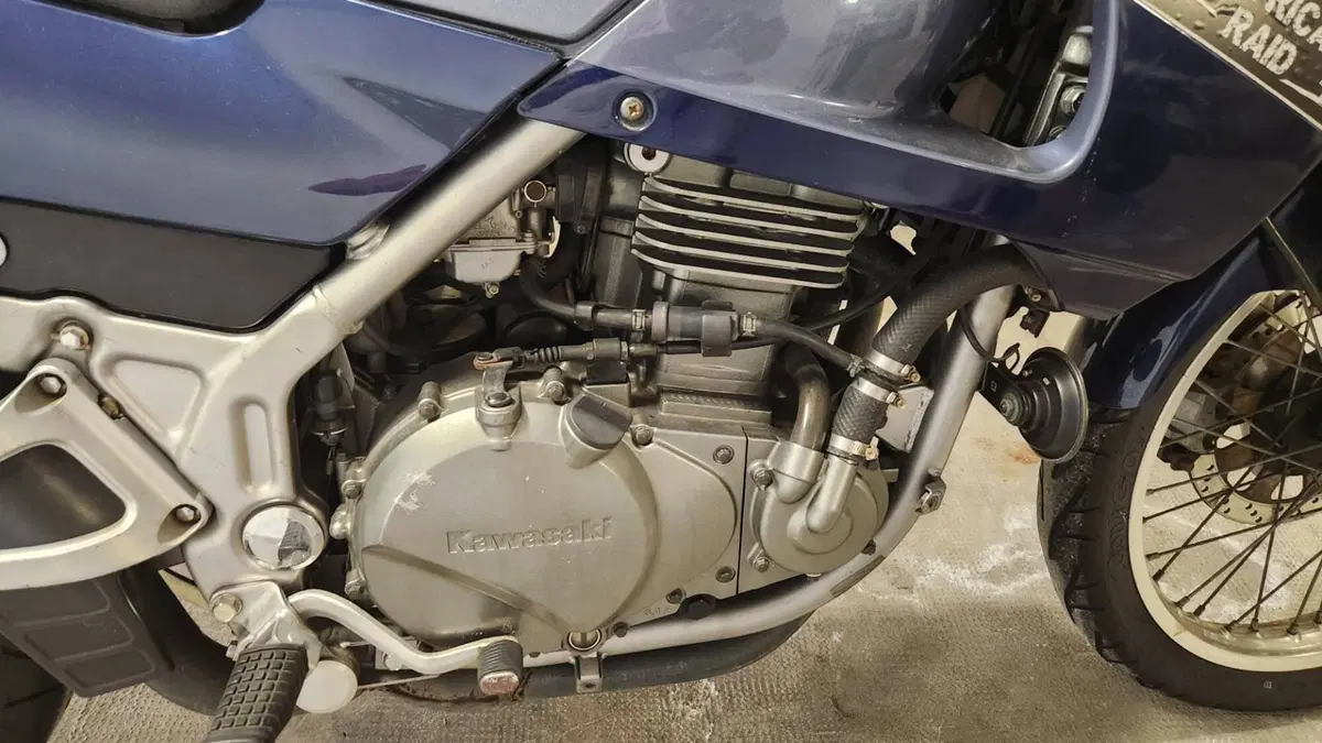 Kawasaki KLE 500 (2001 - 04) (2)