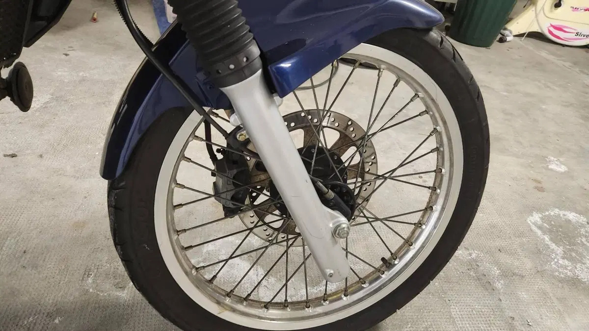 Kawasaki KLE 500 (2001 - 04) (3)
