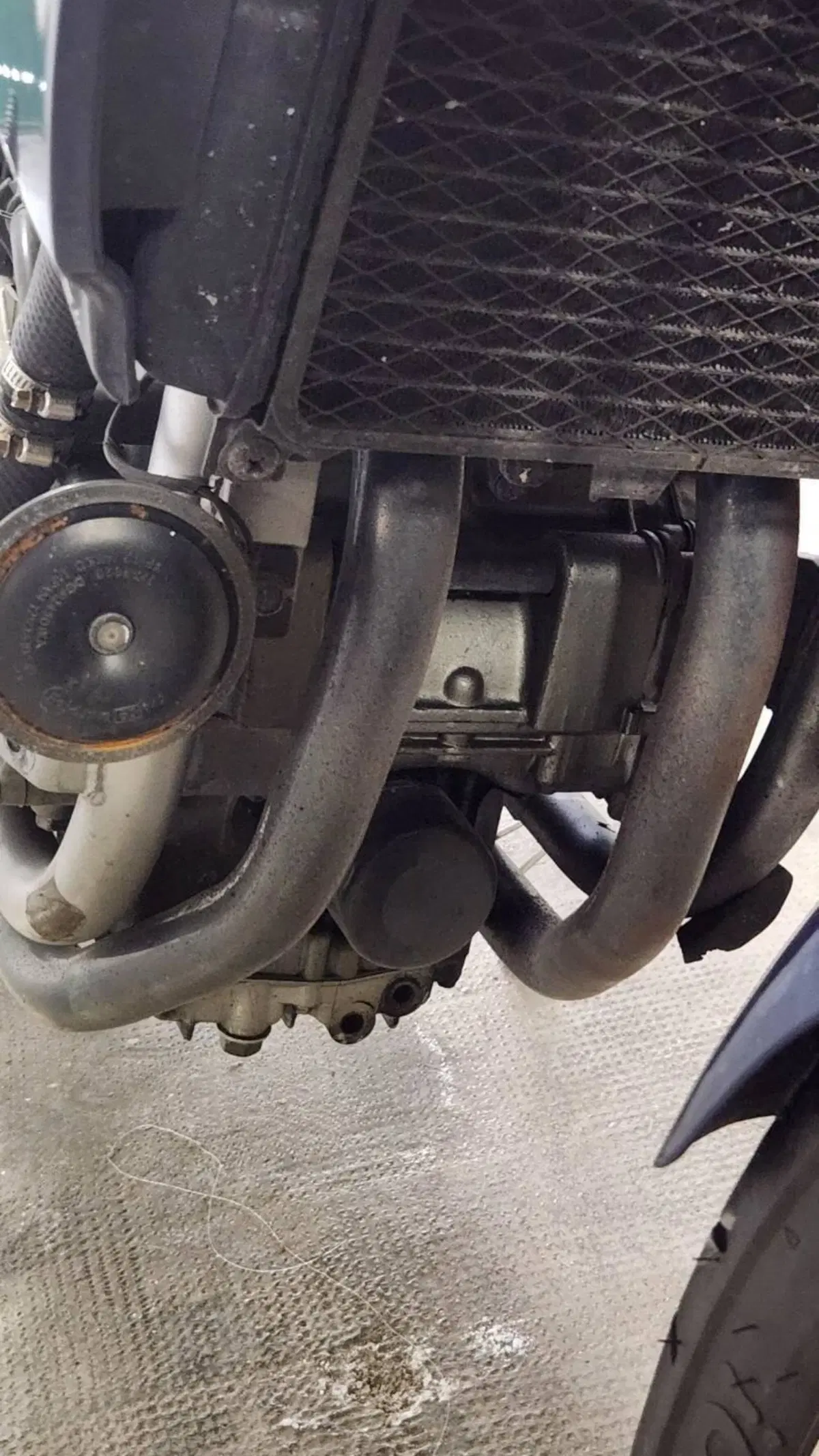 Kawasaki KLE 500 (2001 - 04) (9)