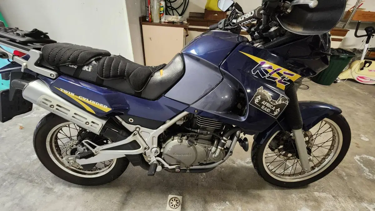Kawasaki KLE 500 (2001 - 04) (10)